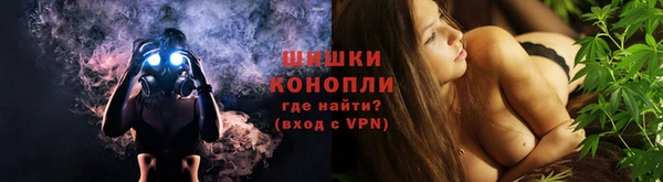 PSILOCYBIN Алексеевка