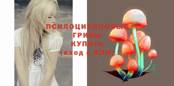 PSILOCYBIN Алексеевка