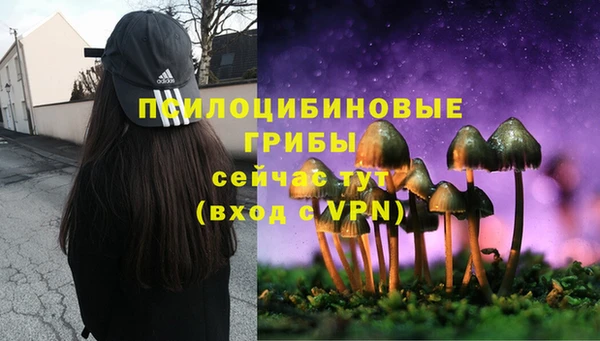 PSILOCYBIN Алексеевка