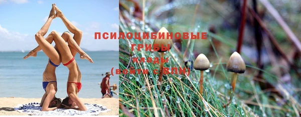 соль курить ск Алексин