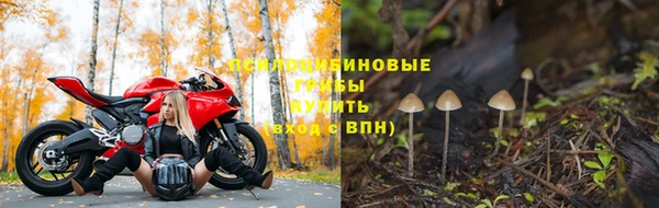 бошки Алзамай