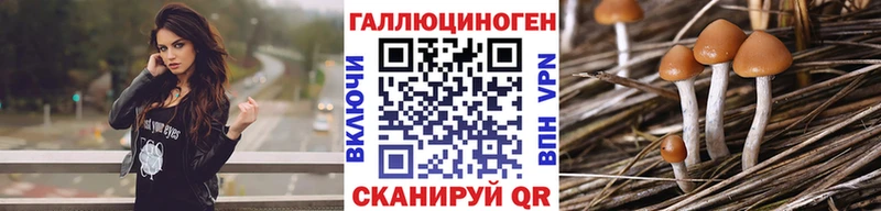 Псилоцибиновые грибы GOLDEN TEACHER  ОМГ ОМГ ONION  Лысково 